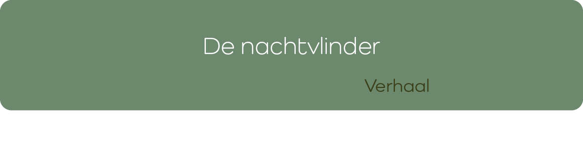 De Nachtvlinders
