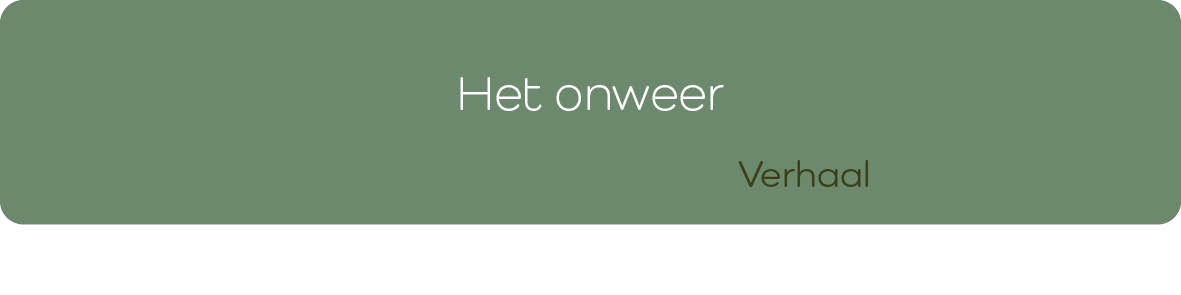 Het Onweer