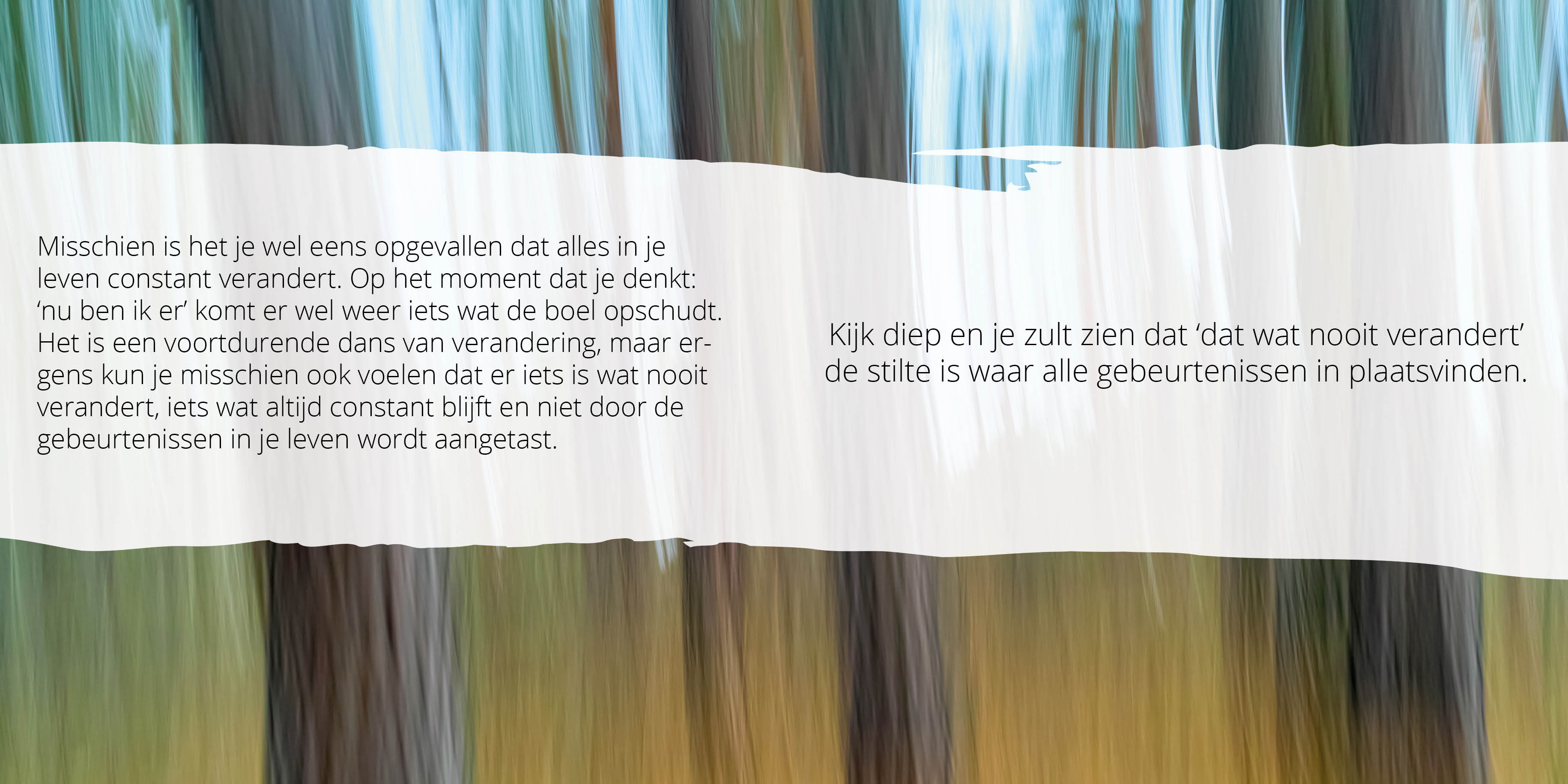 Stilte Momentjes boek