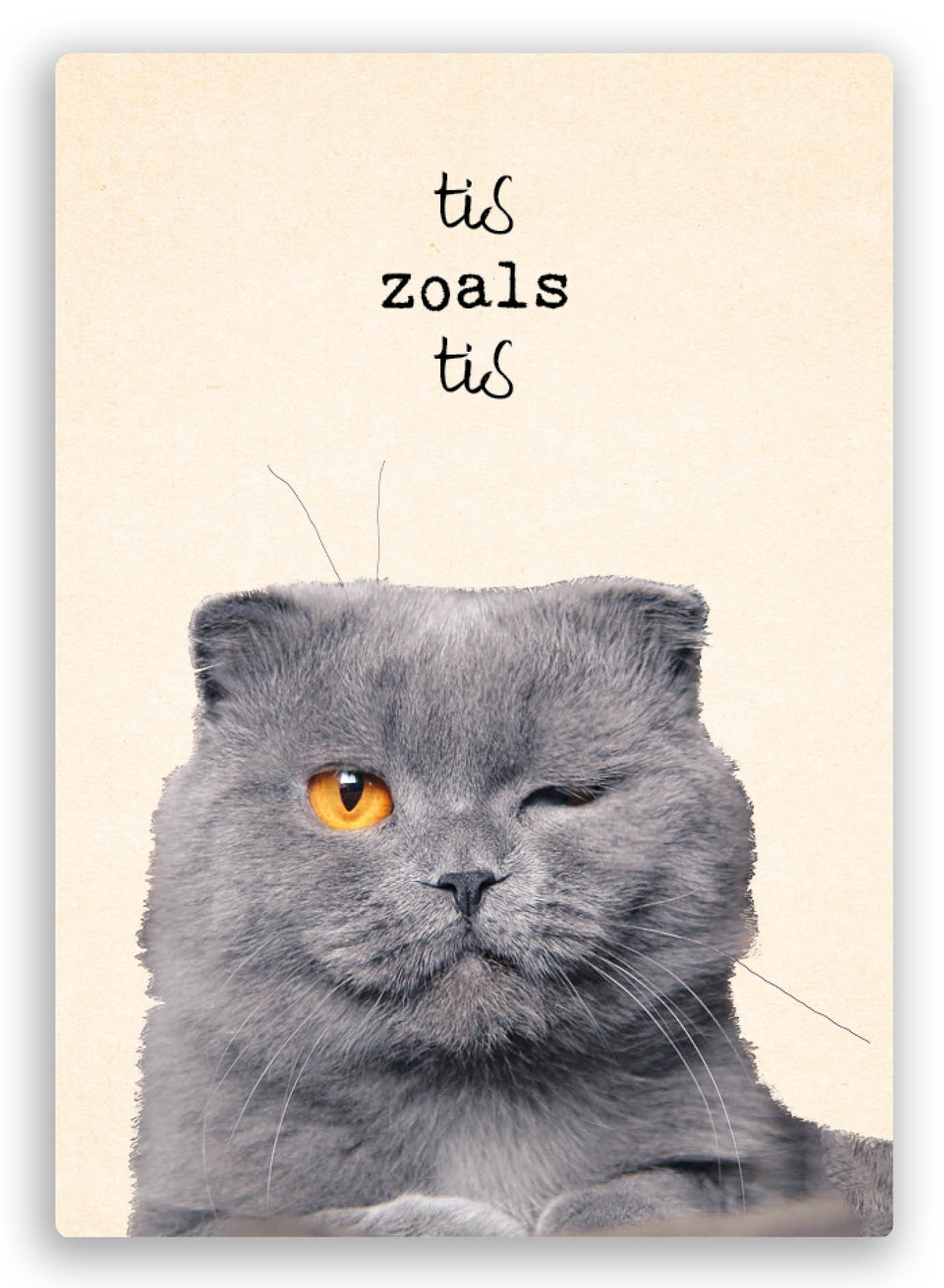 postkaart met de foto van een kat die knipoogt met de tekst het is wat het is