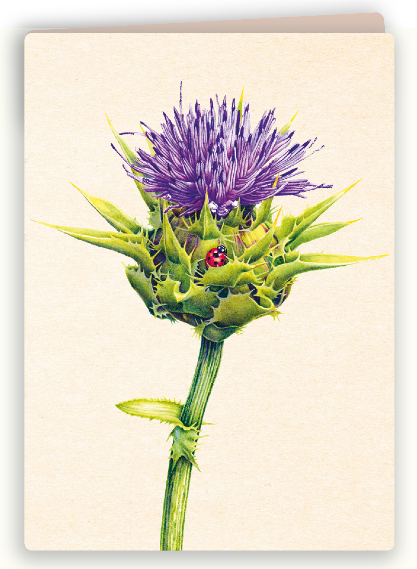 Botanische kaart 05