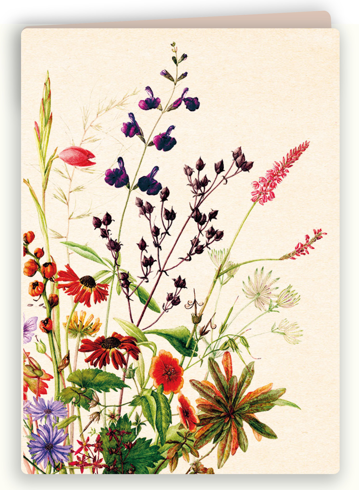 Botanische kaart 09