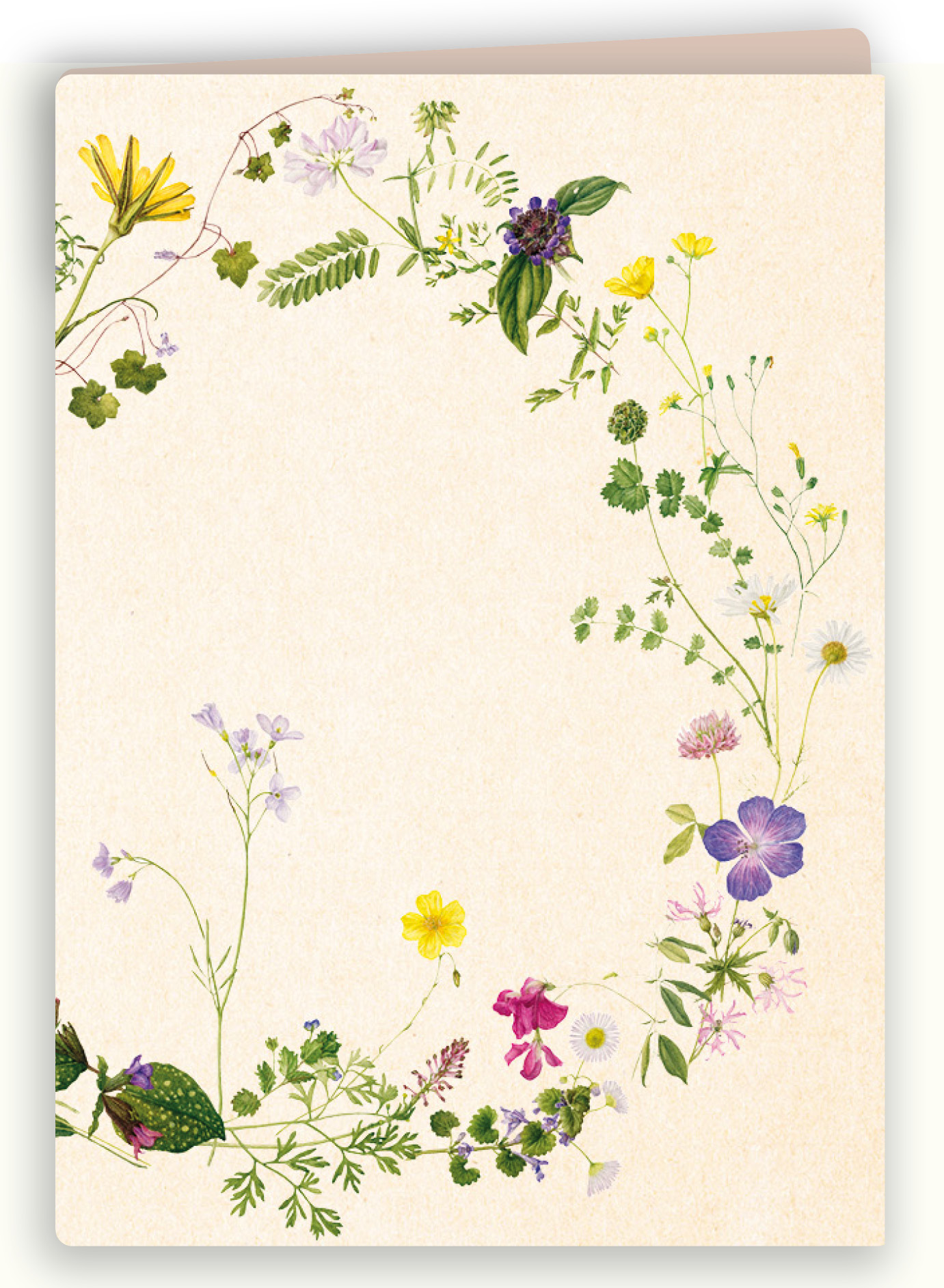 Botanische kaart 13