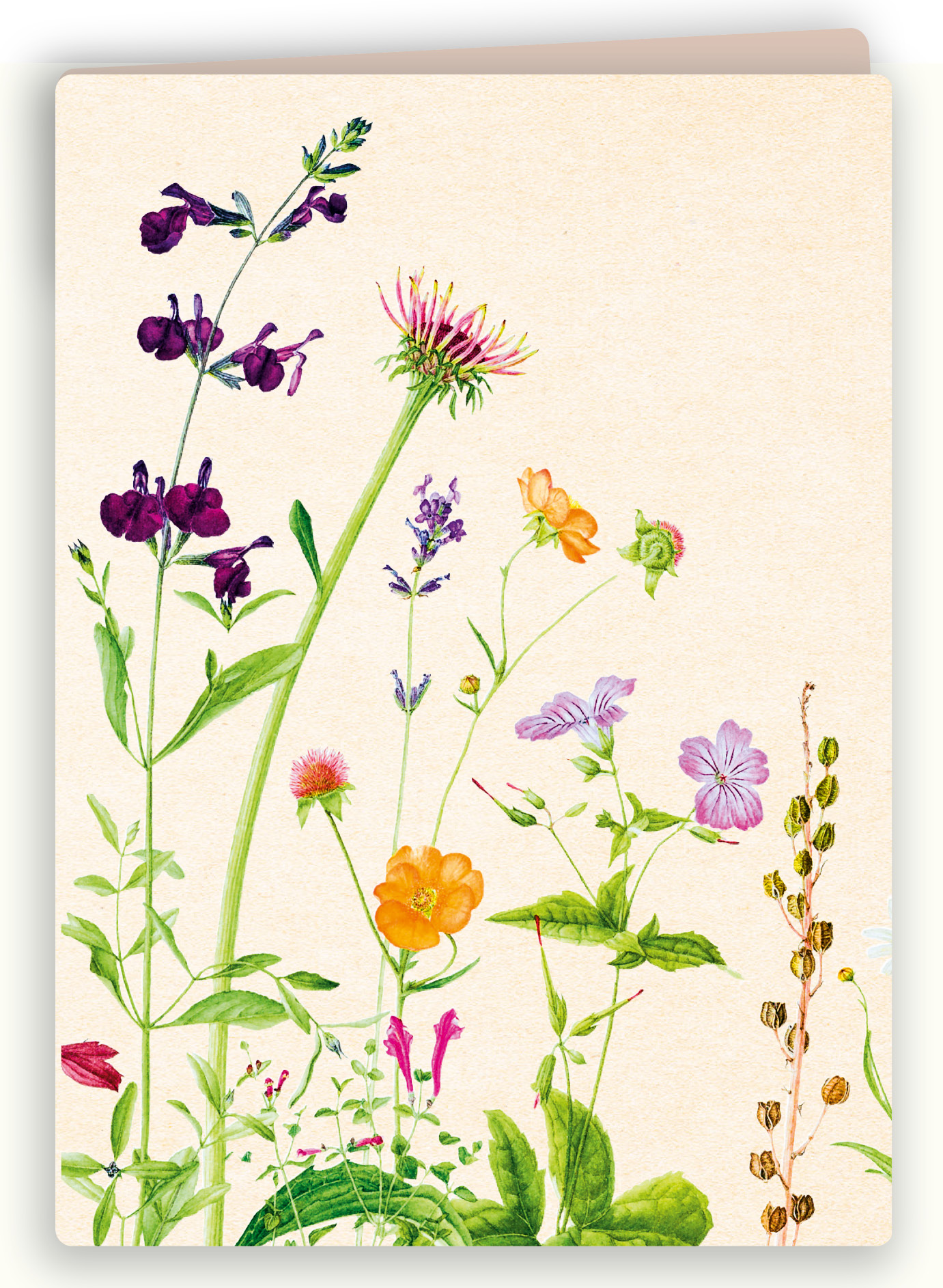 Botanische kaart 14