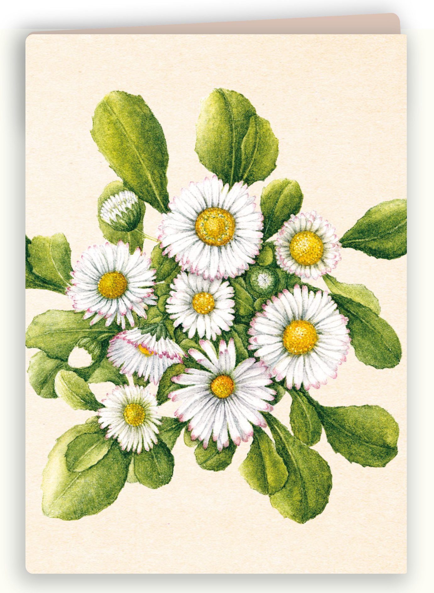 Botanische kaart 15