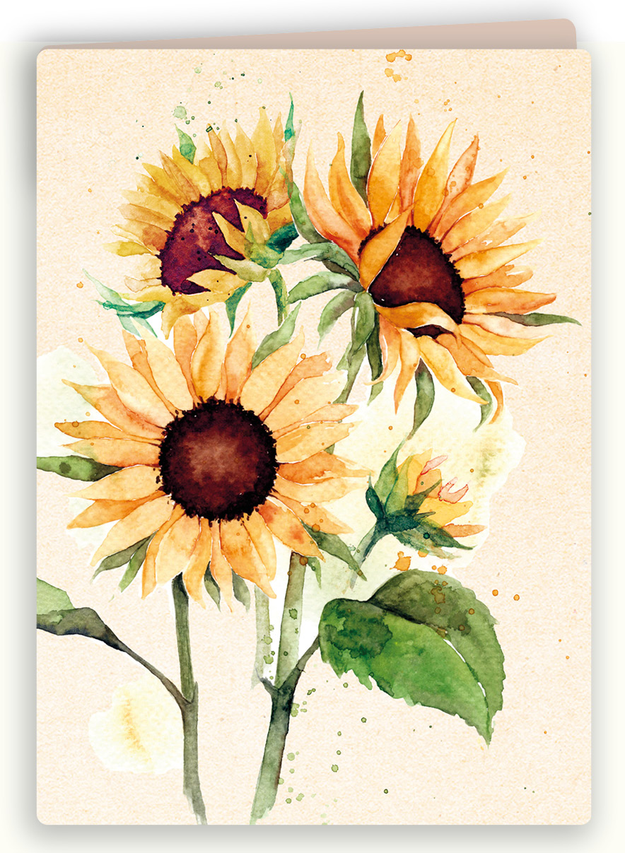 Botanische kaart 56