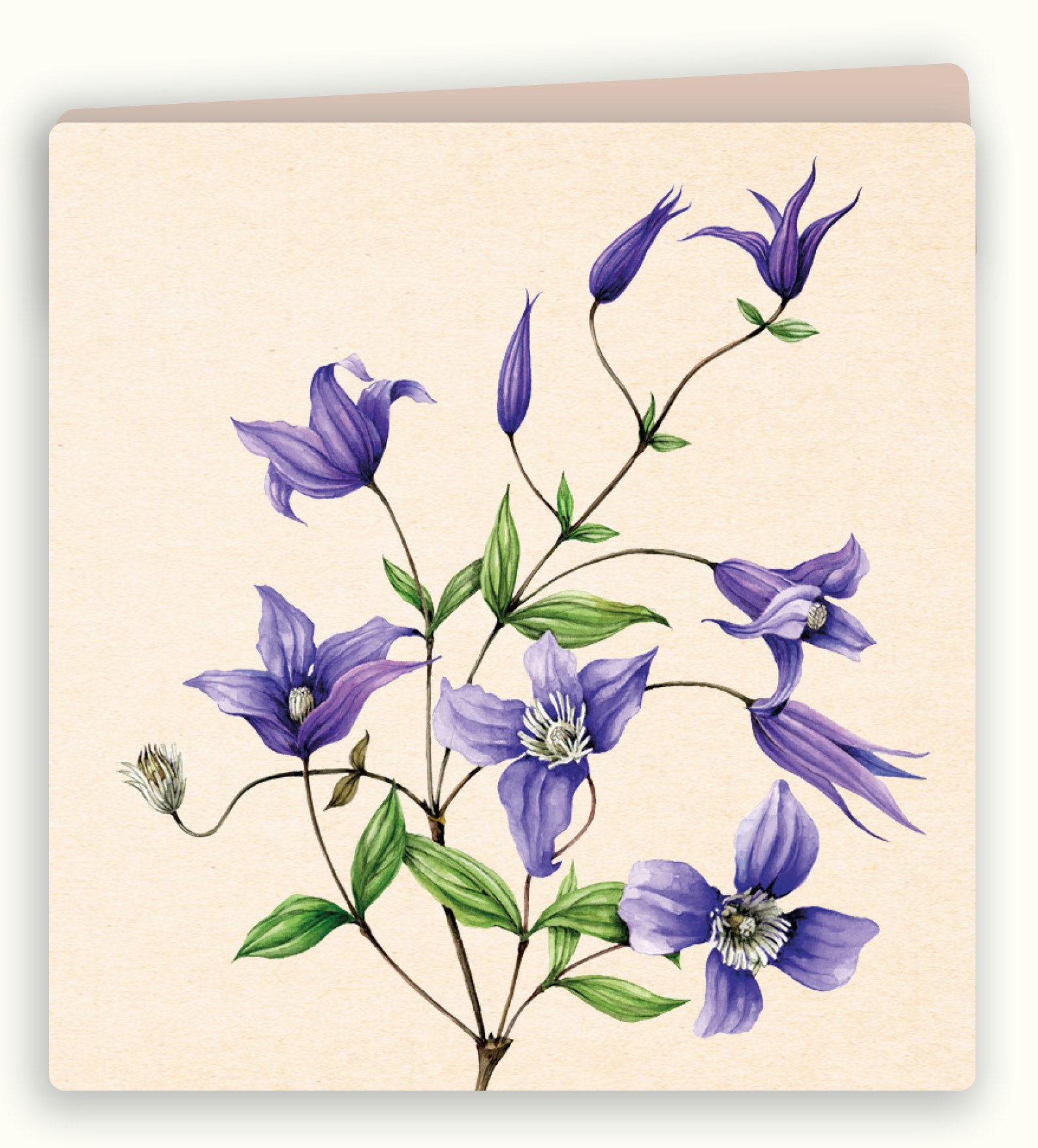 Botanische wenskaart 26