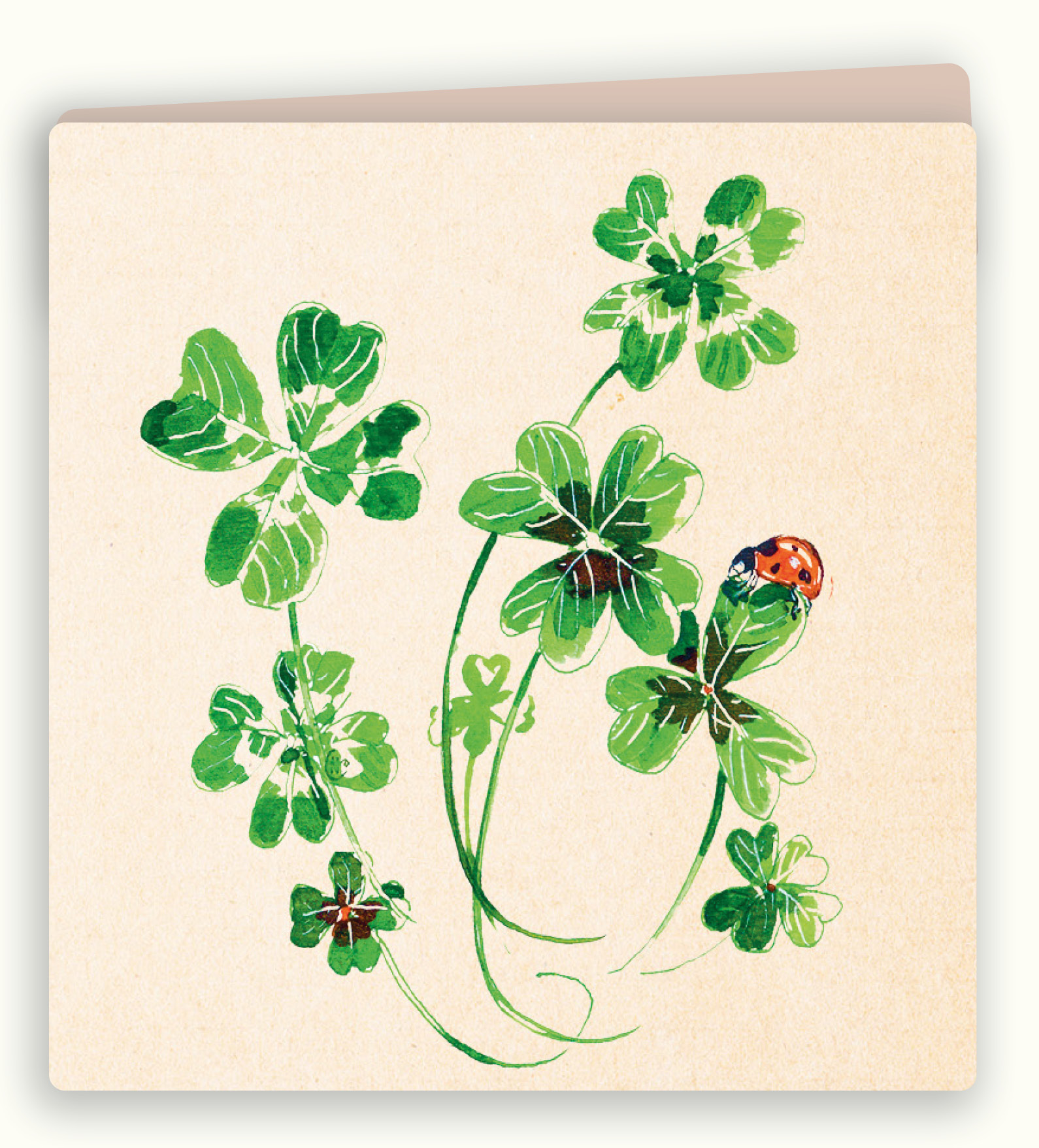 Botanische wenskaart 39