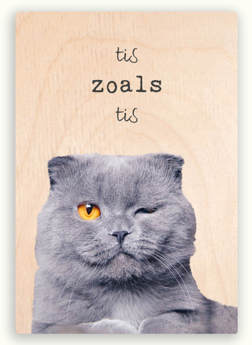 Houten magneet 21