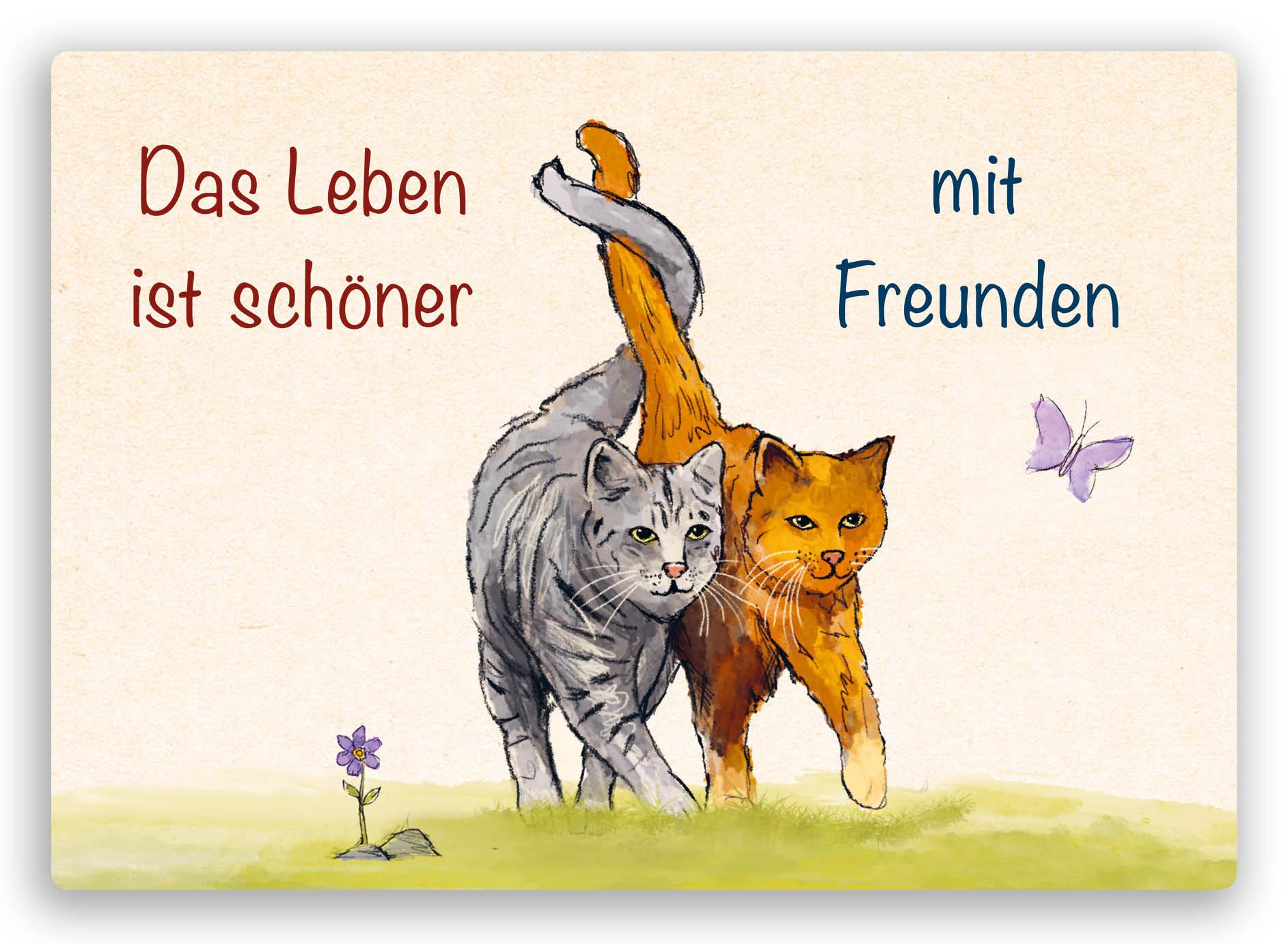 TL16D Deutsch
