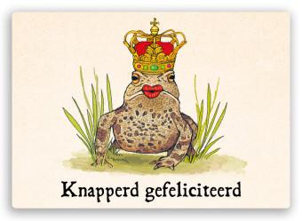 kleurrijke postkaart van een kikker met rode lippen en een kroon op z'n kop met de tekst knapperd gefeliciteerd
