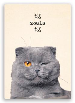 postkaart met de foto van een kat die knipoogt met de tekst het is wat het is
