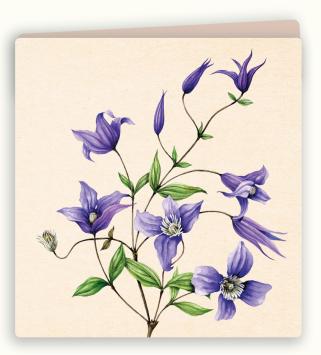 Botanische wenskaart 26
