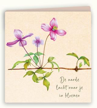 Botanische wenskaart 65